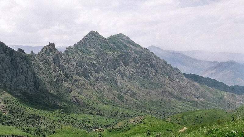 Предоставила Умеда Юсуфи Предоставила Умеда Юсуфи